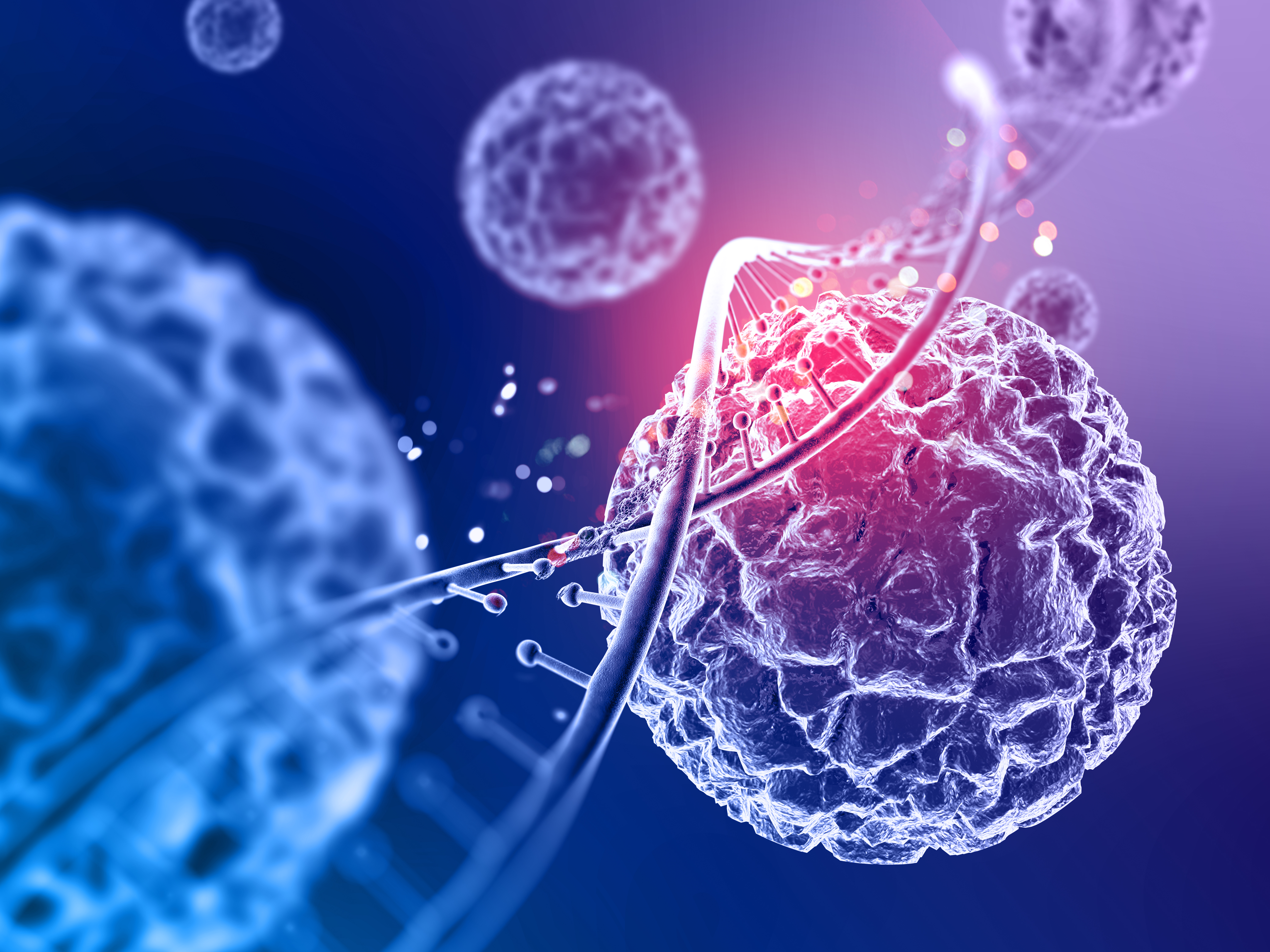 Exosomes